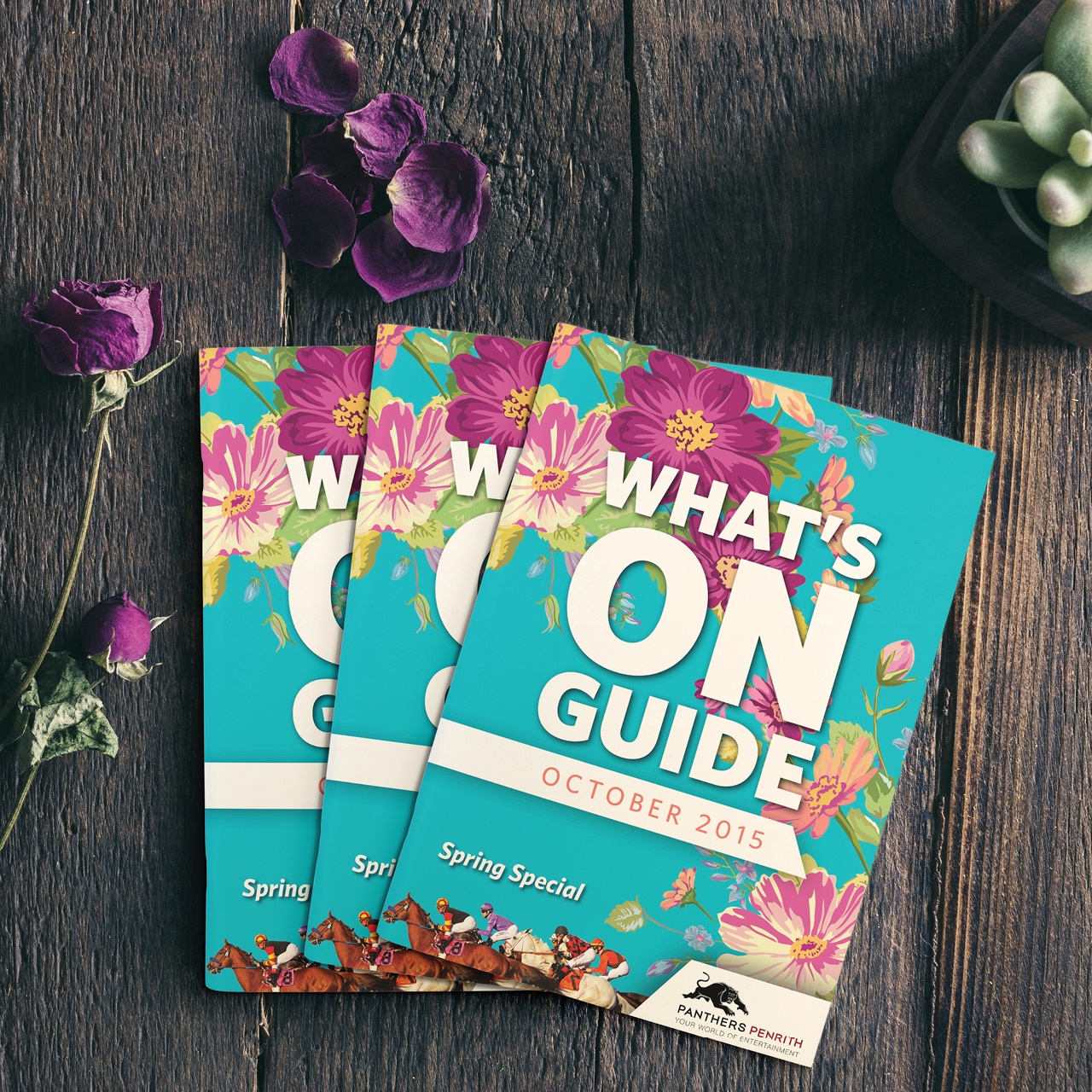 Panthers What's On Guide October 2015
